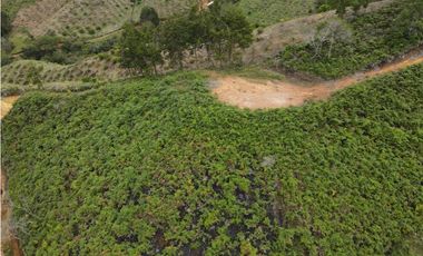 Vendo Lote N. 6 en san Vicente