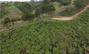 Vendo Lote N. 6 en san Vicente