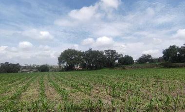 SE VENDE RANCHO 25,752.7 M2 UBICADO EN SANTIAGO CUAUTLALPAN, TEPOTZOTLÁN