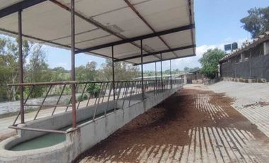 SE VENDE RANCHO 25,752.7 M2 UBICADO EN SANTIAGO CUAUTLALPAN, TEPOTZOTLÁN
