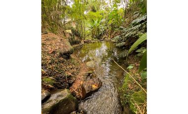 Casa para Arriendo Amoblado en el Poblado San Lucas