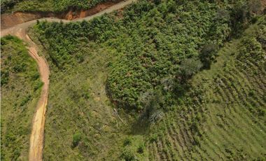 Vendo Lote N 2, en san Vicente