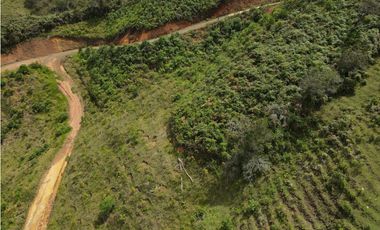 Vendo Lote N 2, en san Vicente