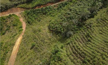 Vendo Lote N 2, en san Vicente