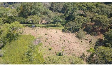 LOTE EN FREDONIA (MARSELLA)