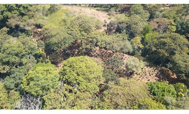 LOTE EN FREDONIA (MARSELLA)
