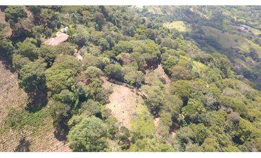 LOTE EN FREDONIA (MARSELLA)