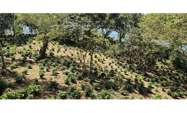 LOTE EN FREDONIA (MARSELLA)