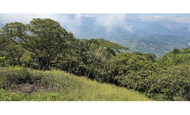 LOTE EN FREDONIA (MARSELLA)