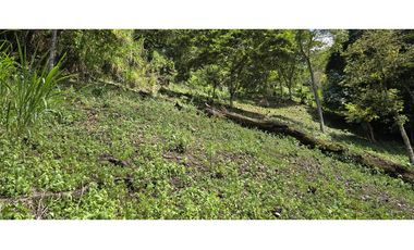 LOTE EN FREDONIA (MARSELLA)