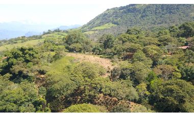 LOTE EN FREDONIA (MARSELLA)