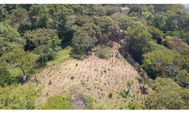 LOTE EN FREDONIA (MARSELLA)