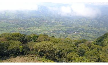 LOTE EN FREDONIA (MARSELLA)