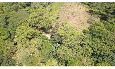 LOTE EN FREDONIA (MARSELLA)