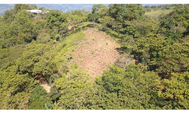 LOTE EN FREDONIA (MARSELLA)