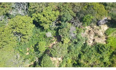 LOTE EN FREDONIA (MARSELLA)