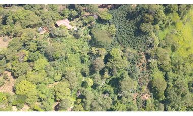 LOTE EN FREDONIA (MARSELLA)