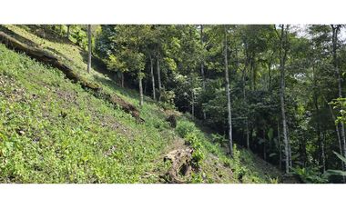 LOTE EN FREDONIA (MARSELLA)
