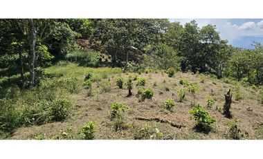 LOTE EN FREDONIA (MARSELLA)