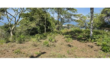 LOTE EN FREDONIA (MARSELLA)
