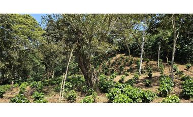 LOTE EN FREDONIA (MARSELLA)