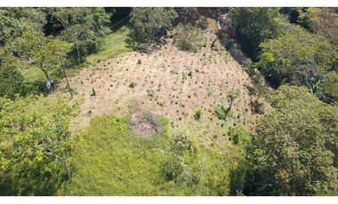 LOTE EN FREDONIA (MARSELLA)