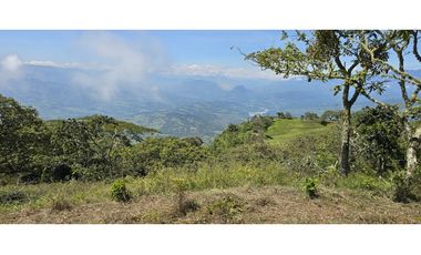 LOTE EN FREDONIA (MARSELLA)