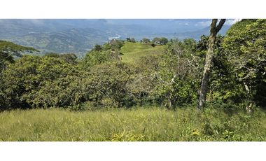 LOTE EN FREDONIA (MARSELLA)