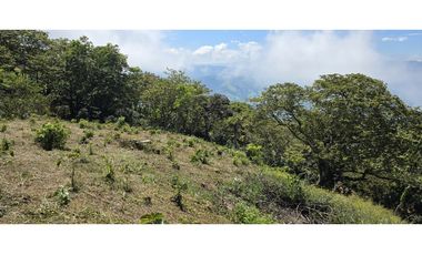 LOTE EN FREDONIA (MARSELLA)