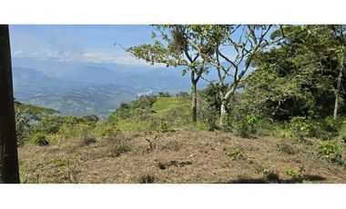 LOTE EN FREDONIA (MARSELLA)