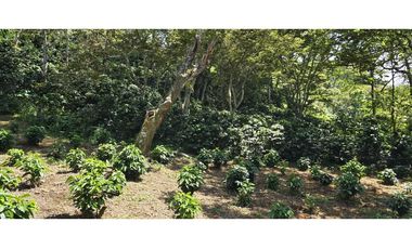 LOTE EN FREDONIA (MARSELLA)