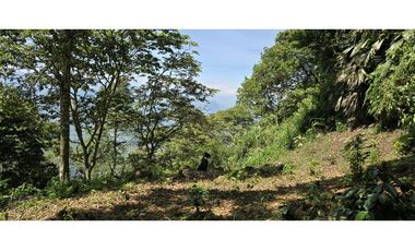 LOTE EN FREDONIA (MARSELLA)
