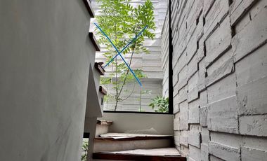 Fraccionamiento arbolado