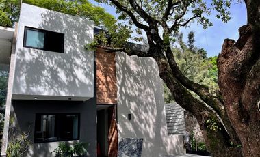 Fraccionamiento arbolado