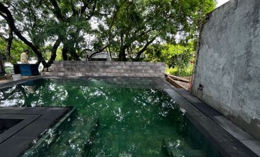 Fraccionamiento arbolado