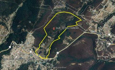 TERRENO EN NICOLÁS ROMERO, EDO. MÉX. SUP. 70 HECTÁREAS.