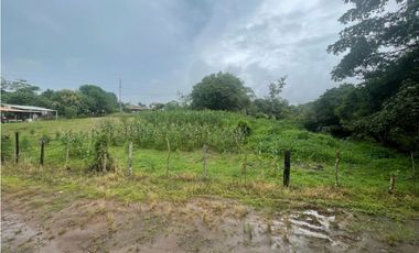 Venta de lote  en via Panamericana en la chorrera