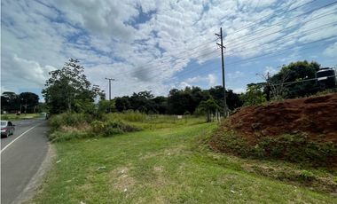 Venta de lote  en via Panamericana en la chorrera
