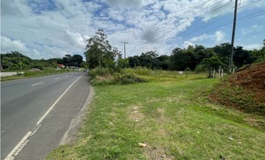 Venta de lote  en via Panamericana en la chorrera