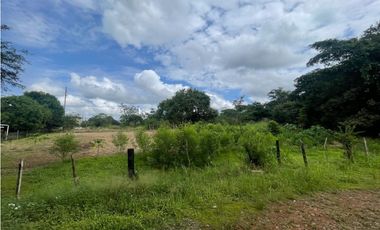 Venta de lote  en via Panamericana en la chorrera