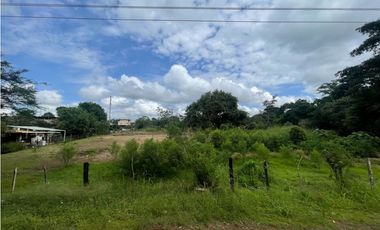 Venta de lote  en via Panamericana en la chorrera