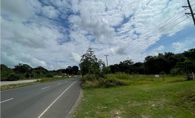 Venta de lote  en via Panamericana en la chorrera
