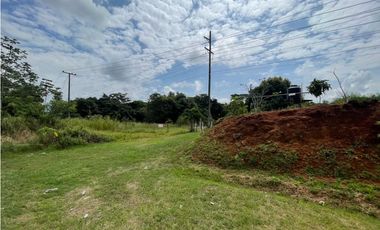 Venta de lote  en via Panamericana en la chorrera