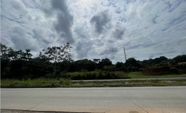 Venta de lote  en via Panamericana en la chorrera