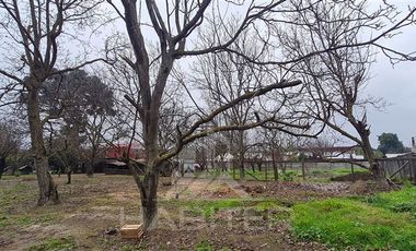 Local Comercial en Venta en Ruta 180