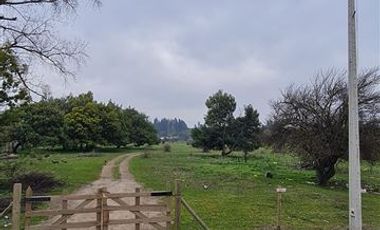 Agrícola en Venta en VILLA HUEQUEN