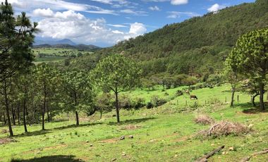 Terrenos en Tapalpa en Preventa
