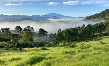 Terrenos en Tapalpa en Preventa