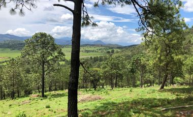 Terrenos en Tapalpa en Preventa