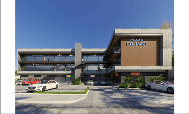 Local comercial en renta en plaza Los Olivos